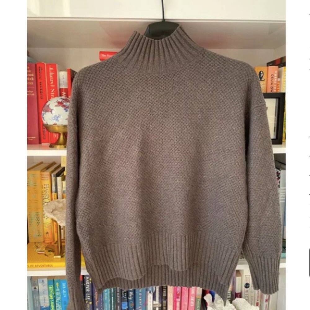 Everlane Oversized Stroopwafel Turtleneck